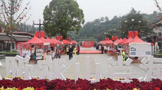 武当论“健”大型义诊 中西医结合实力